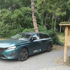 Wandscher Cup 28.08.2022